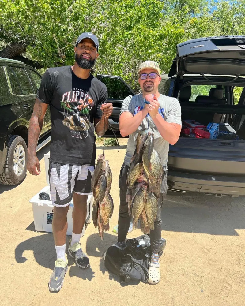 把一个数字 把一个数字